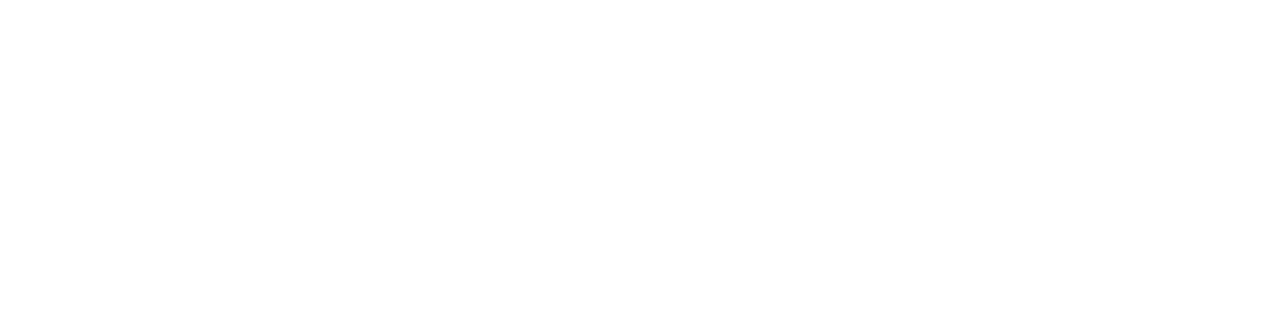 Fit Orbitz